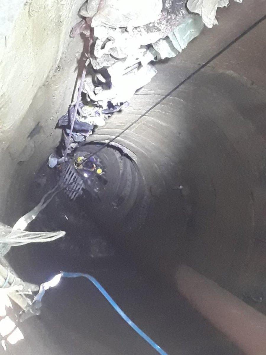 Aydın'da kuyuya düşen yavru kedi kurtarıldı