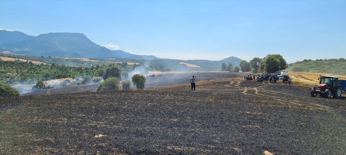 Osmaniye'de buğday ekili tarlada yangın çıktı