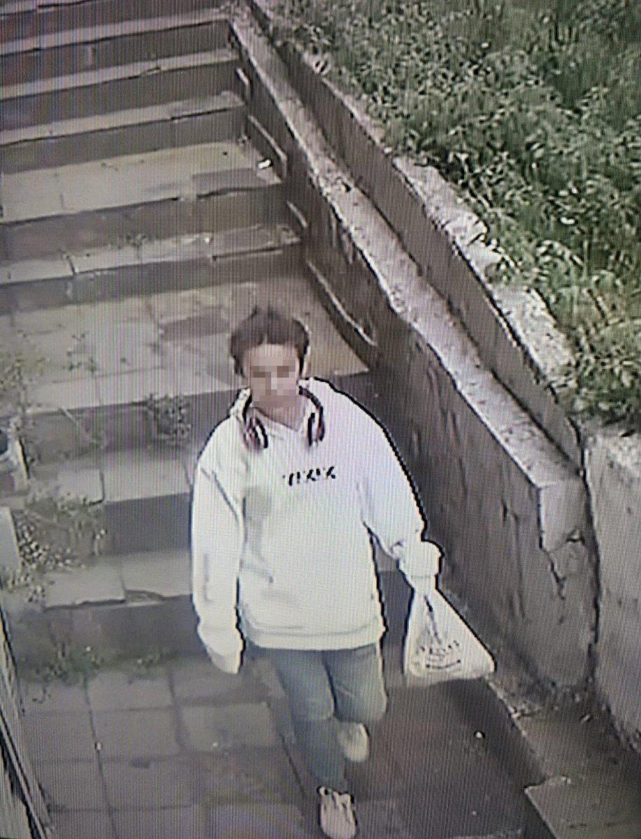 Şişli'de yakalanan hırsızın, Cumhurbaşkanı'na hakaretten suç kaydı çıktı