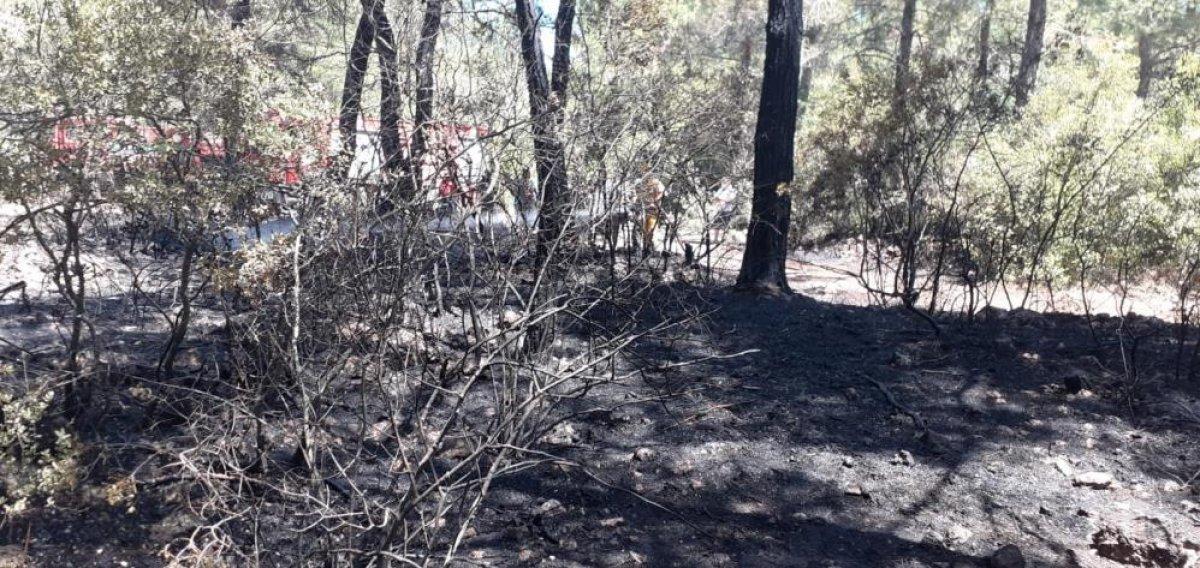 Muğla'da araç yangını ormana sıçradı