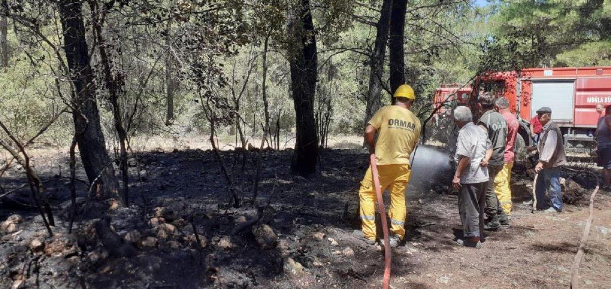 Muğla'da araç yangını ormana sıçradı
