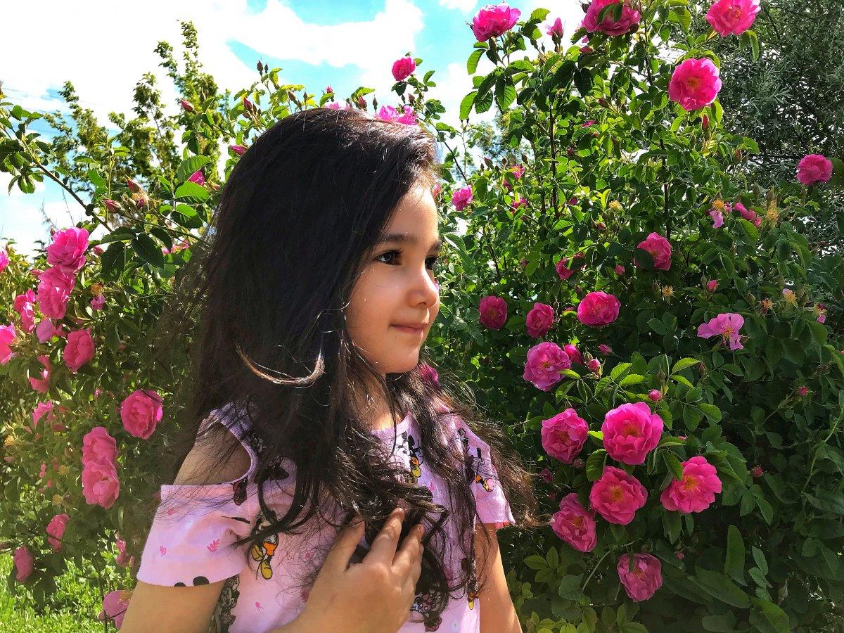 Ağrı'da rengarenk çiçekler göz kamaştırdı