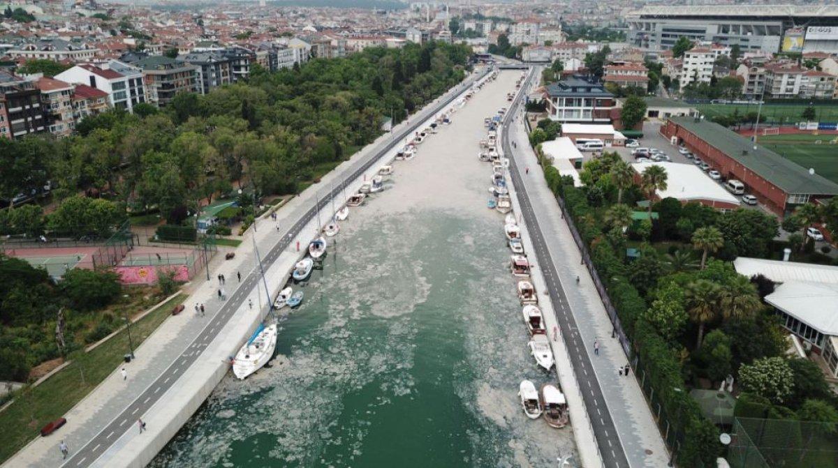 Kadıköy Kurbağlıdere deniz salyasıyla kaplandı
