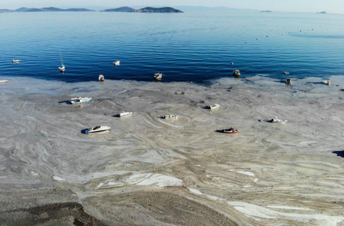 Caddebostan sahilinde müsilaj temizliği