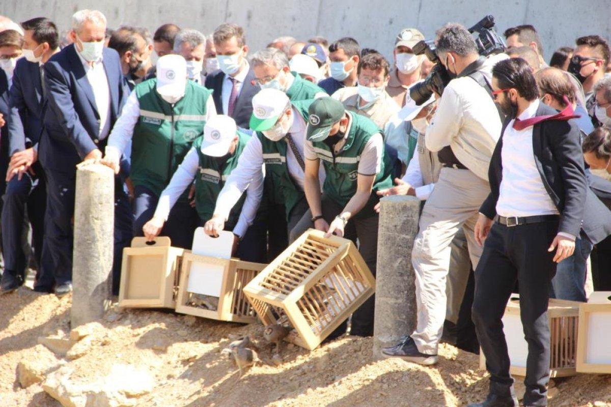 Bekir Pakdemirli, Çay Barajı’ndan ilk suyu verdi