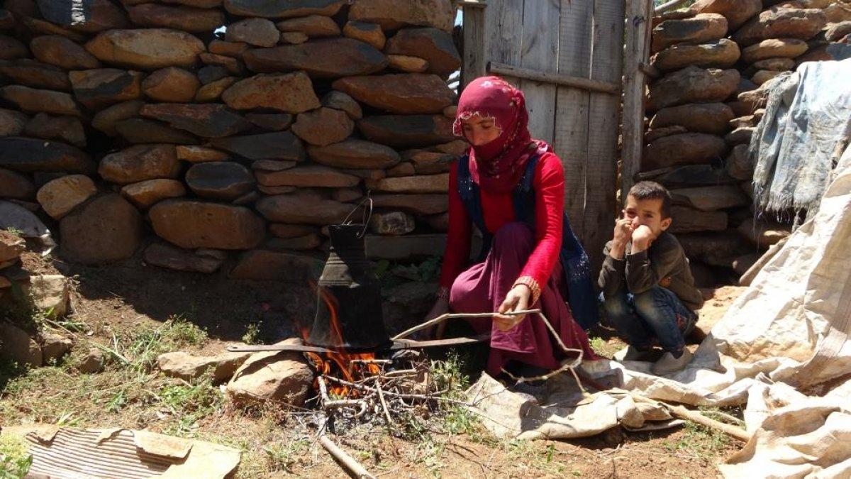Muş'ta besicilerin yayla yolculuğu başladı