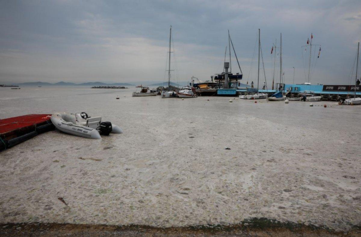 Kadıköy Kurbağlıdere deniz salyasıyla kaplandı