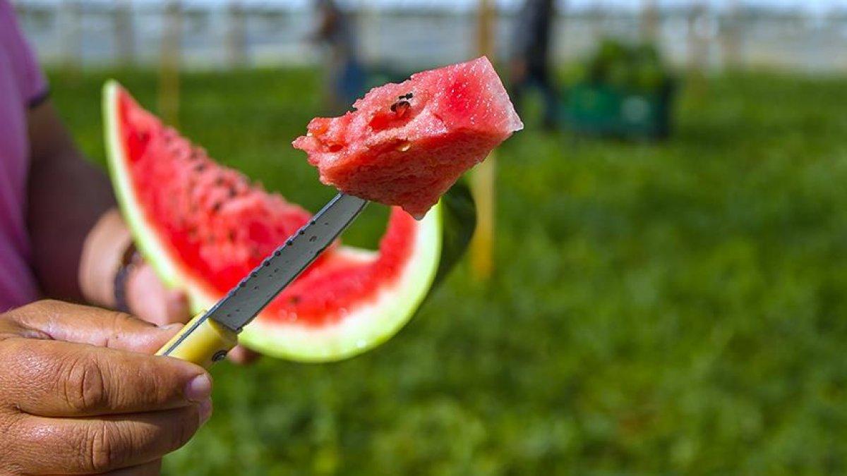 Karpuzun sağlığa 10 faydası