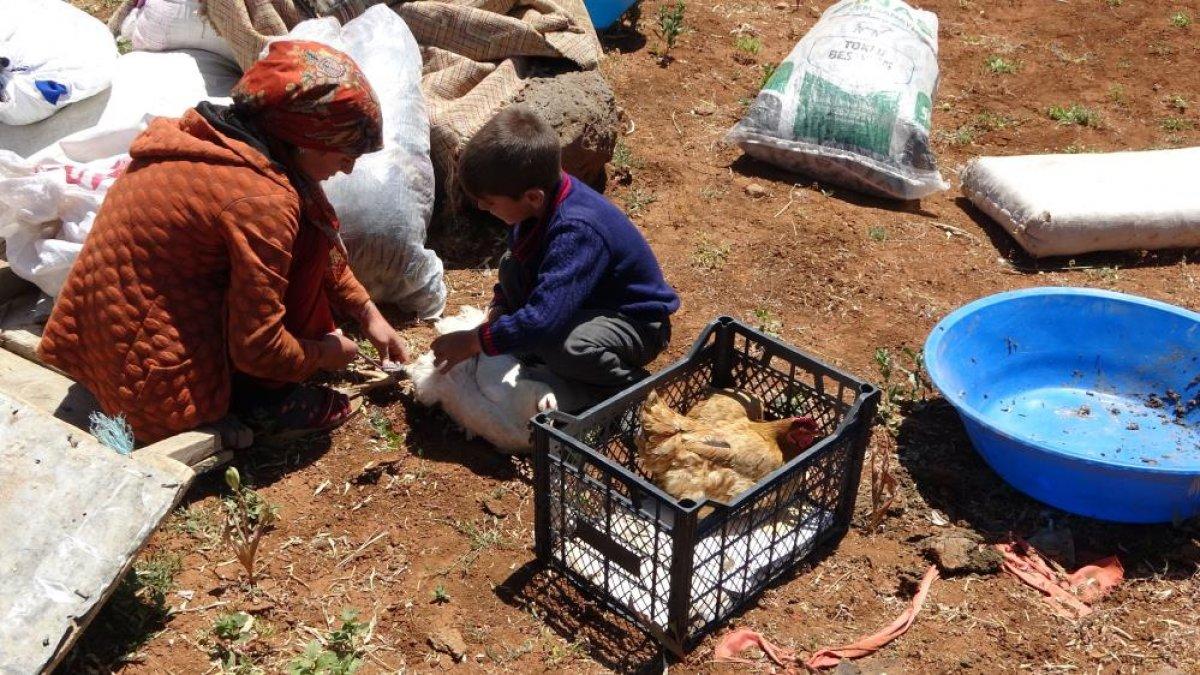 Muş'ta besicilerin yayla yolculuğu başladı