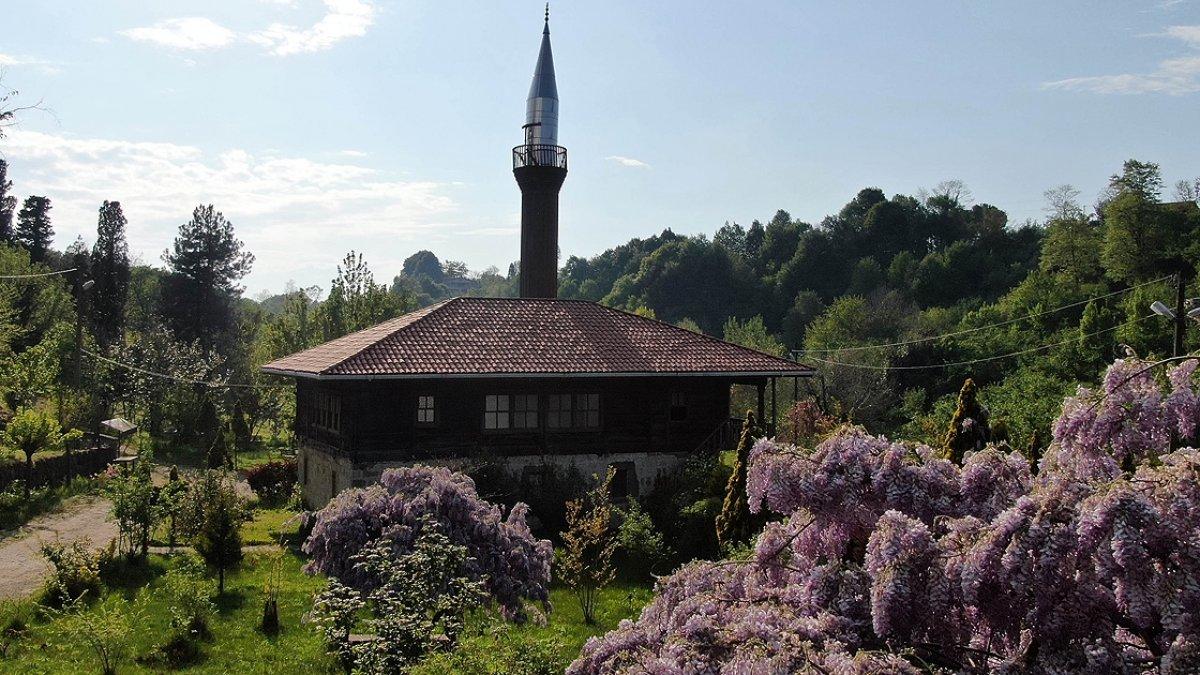 Türkiye genelinde il il cami sayıları