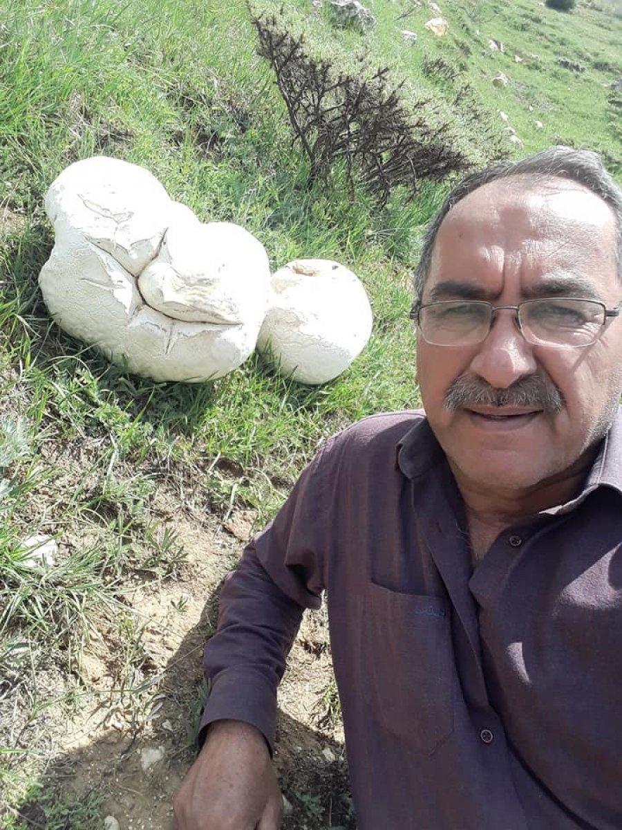 Kayseri'de 7 kiloluk mantar bulundu