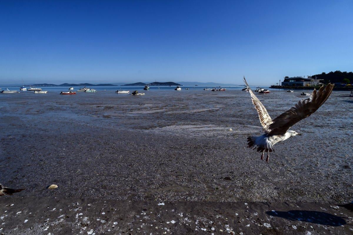 Marmara Denizi'ndeki müsilaj belası havadan görüntülendi