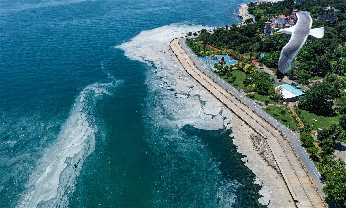 Çevre ve Şehircilik Bakanlığı'ndan 'müsilaj' genelgesi