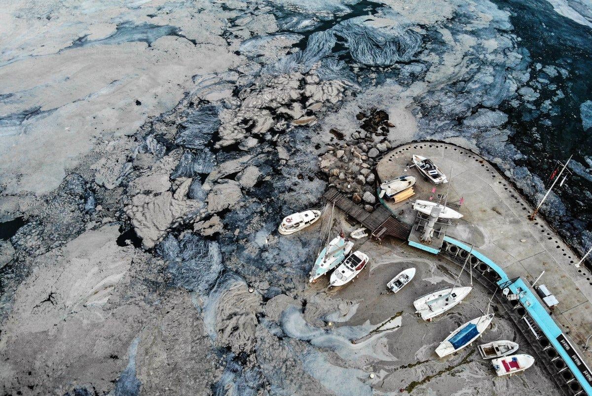 Marmara Denizi'ndeki müsilaj belası havadan görüntülendi