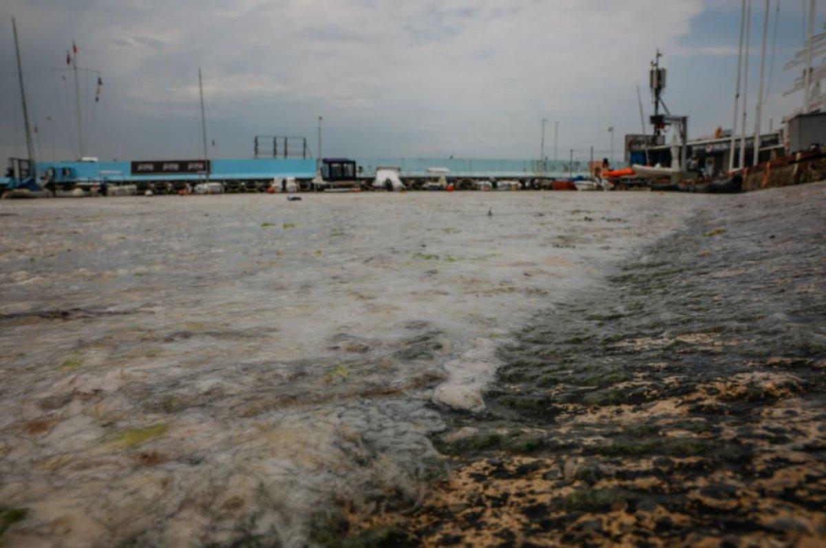 Kadıköy Kurbağlıdere deniz salyasıyla kaplandı