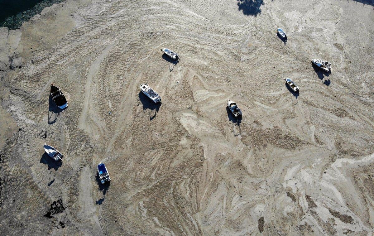 Marmara Denizi'ndeki müsilaj belası havadan görüntülendi