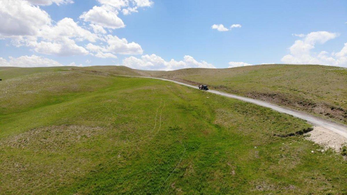 Muş'ta besicilerin yayla yolculuğu başladı