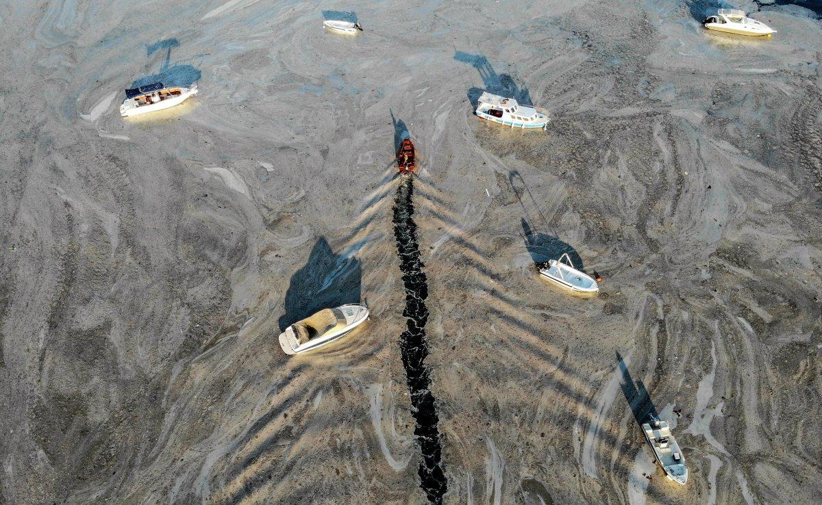 Marmara Denizi'ndeki müsilaj belası havadan görüntülendi