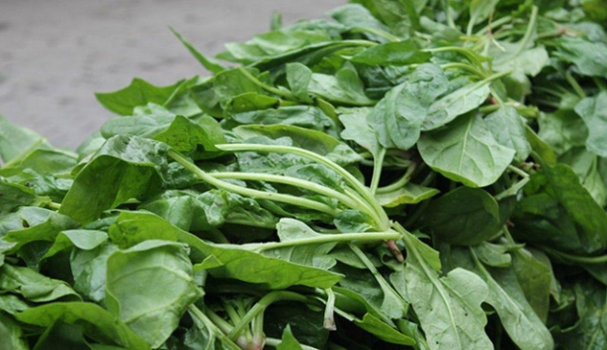 Sağlıklı gözler için 6 temel besin