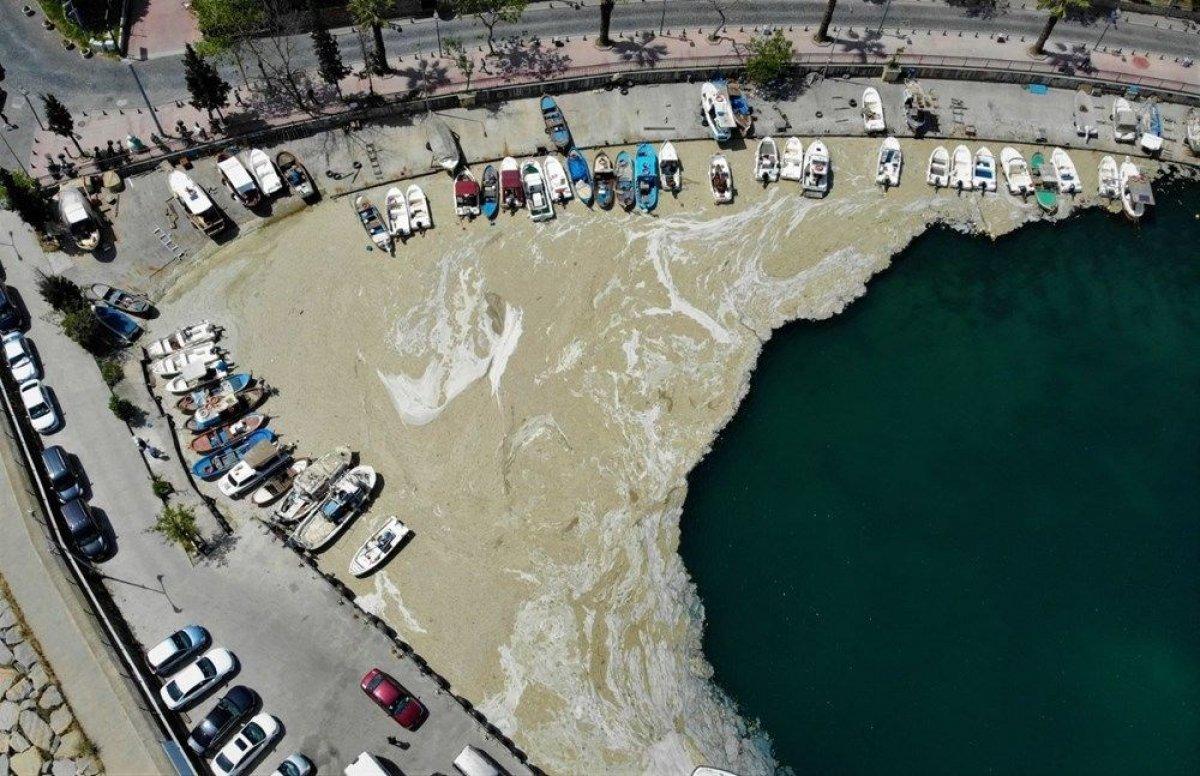 Müsilaj hangi denizlerde, nerelerde var? Deniz salyası görülen bölgeler...