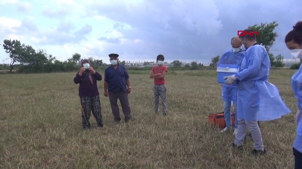 Antalya'da çoban çifte sürü başında aşı yapıldı
