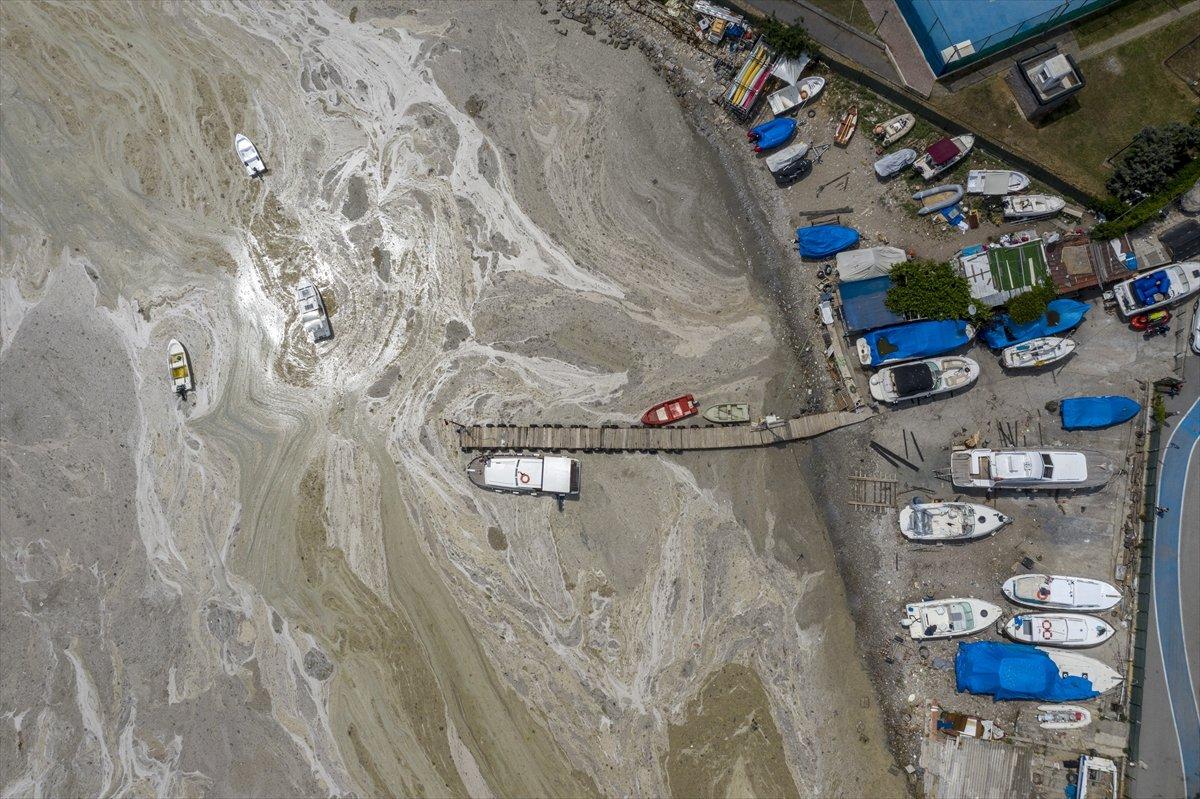 Müsilaj seferberliği başladı