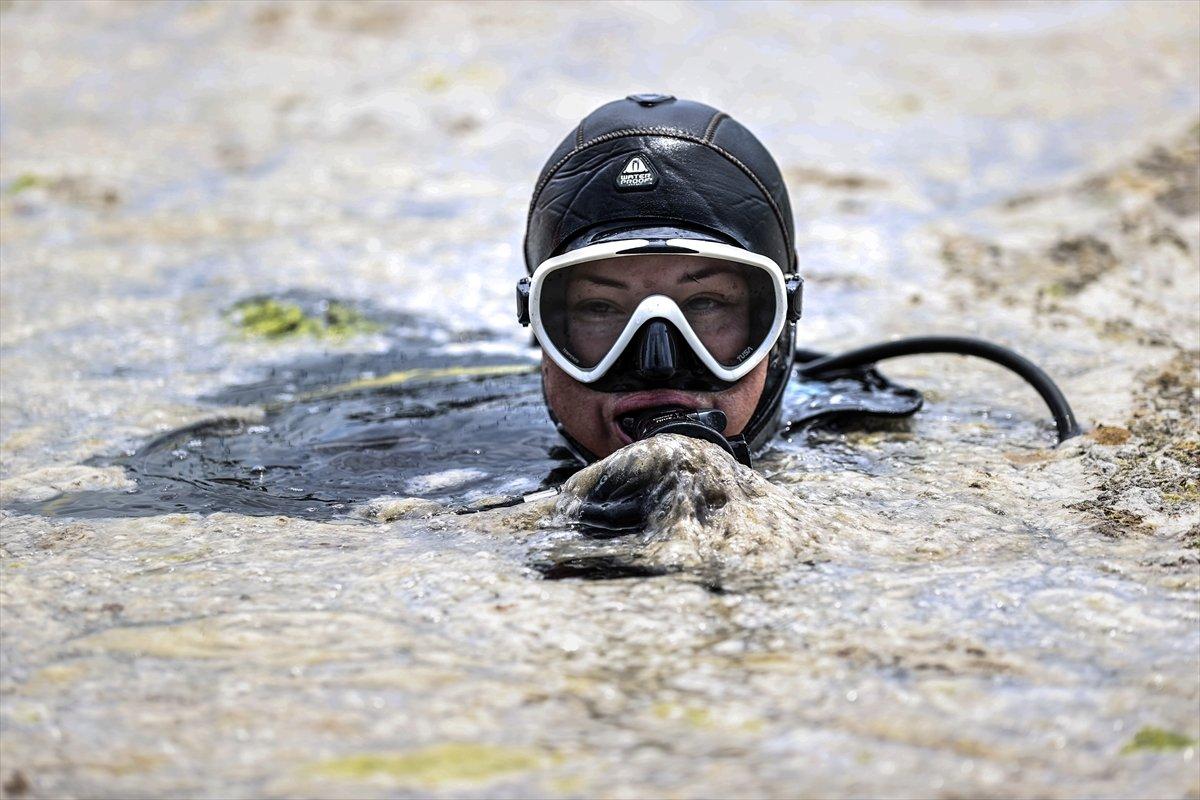 Müsilaj seferberliği başladı
