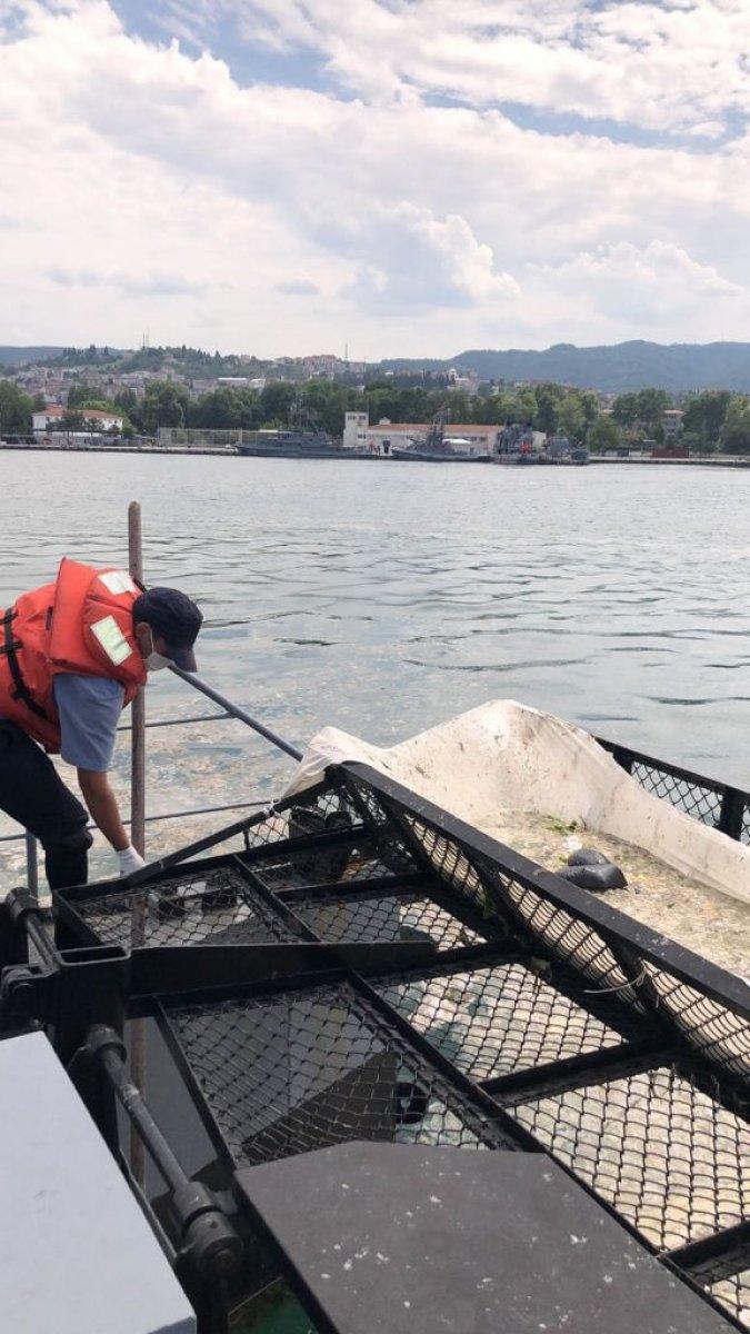 Gölcük Poyraz Limanı’nda müsilaj temizliği başladı