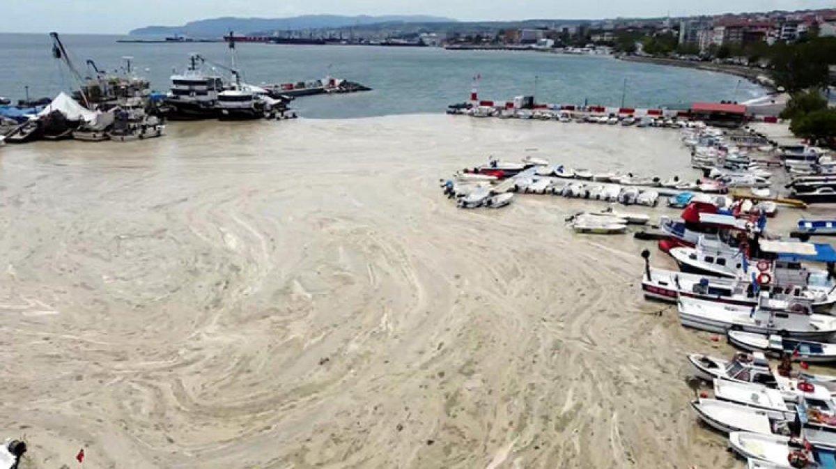 Müsilaj hangi denizlerde, nerelerde var? Deniz salyası görülen bölgeler...