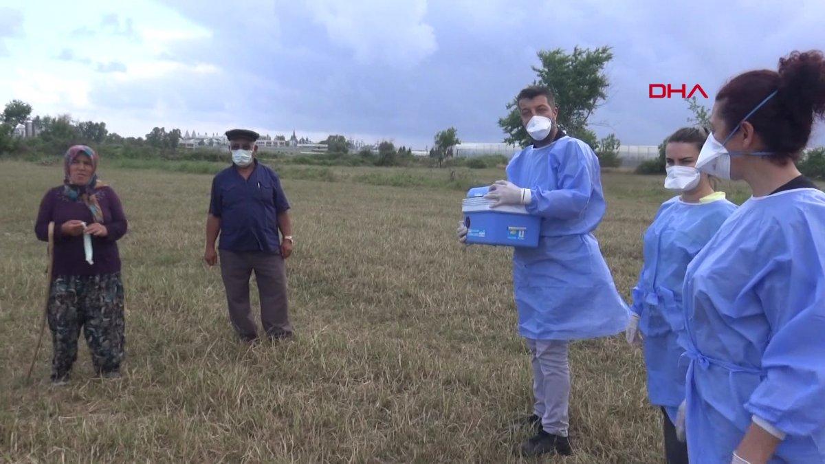 Antalya'da çoban çifte sürü başında aşı yapıldı