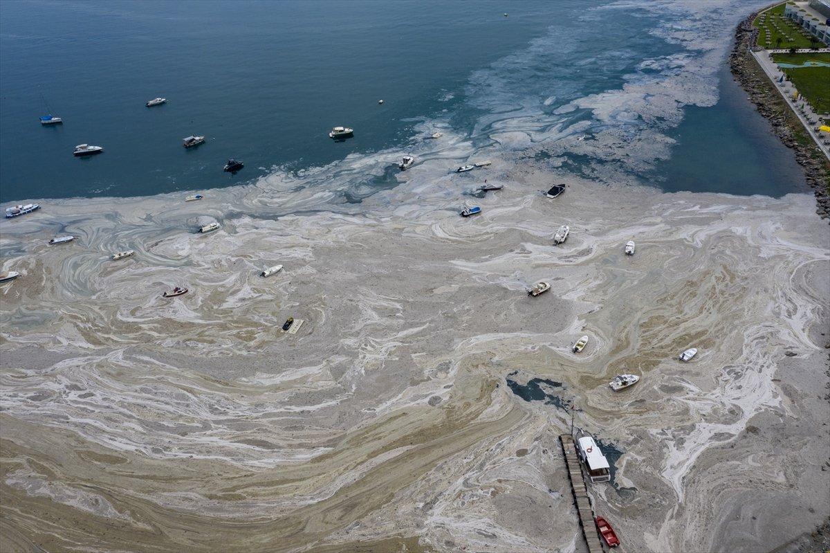 AK Parti'den TBMM'ye müsilaj önergesi