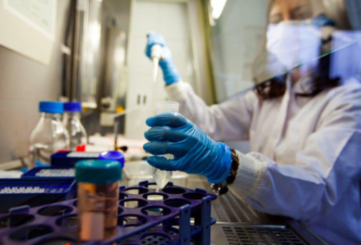 Koronavirüsten hastalanmayı önleyen gen keşfedildi