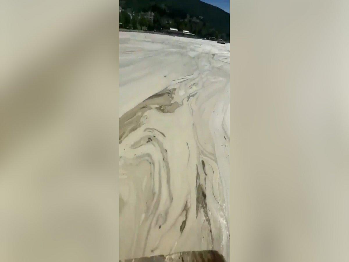 Balıkesir'e bağlı Erdek sahilli tamamen müsilaj ile kaplandı