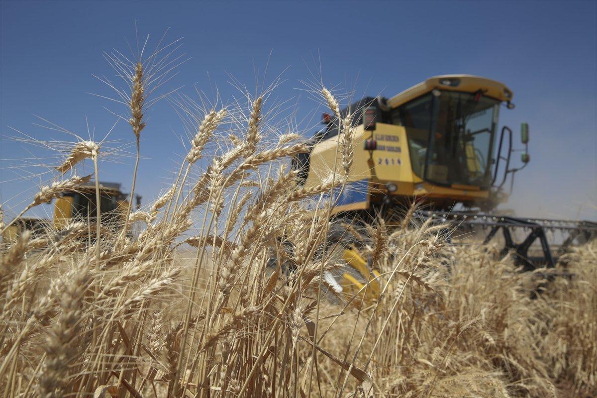 Küresel piyasalar verilere odaklandı