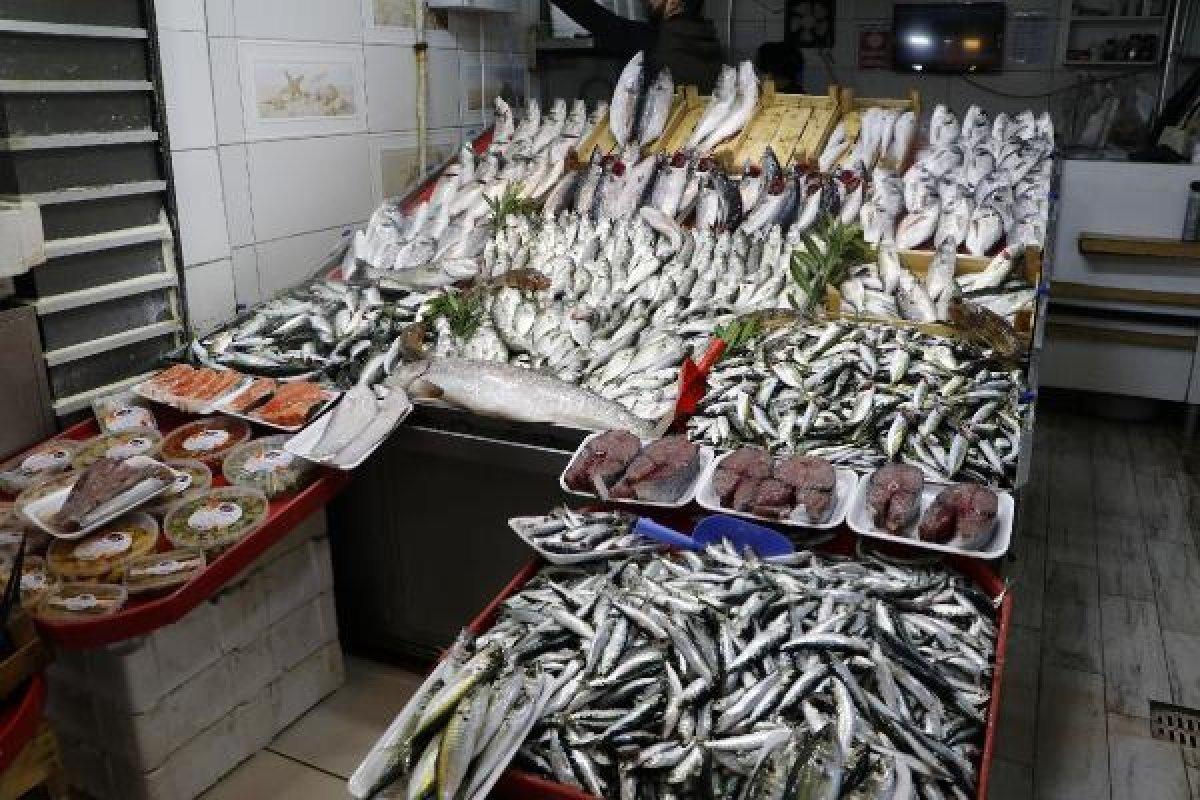 Deniz salyası varken balık yenir mi? Müsilaj zehirler mi?