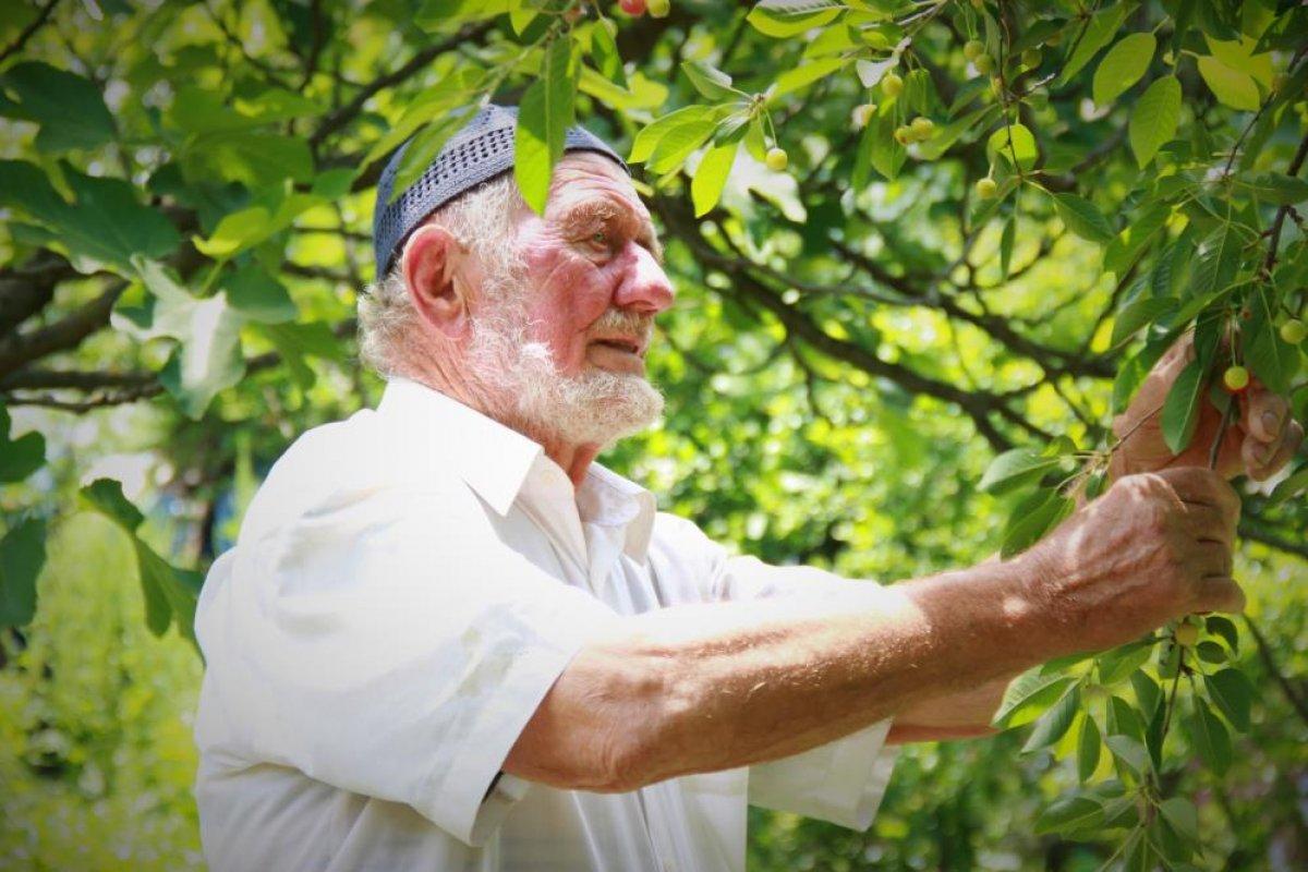 Kocaeli'de eşinin mezarı başından ayrılmıyor: Hanım öldükten sonra garip kaldım