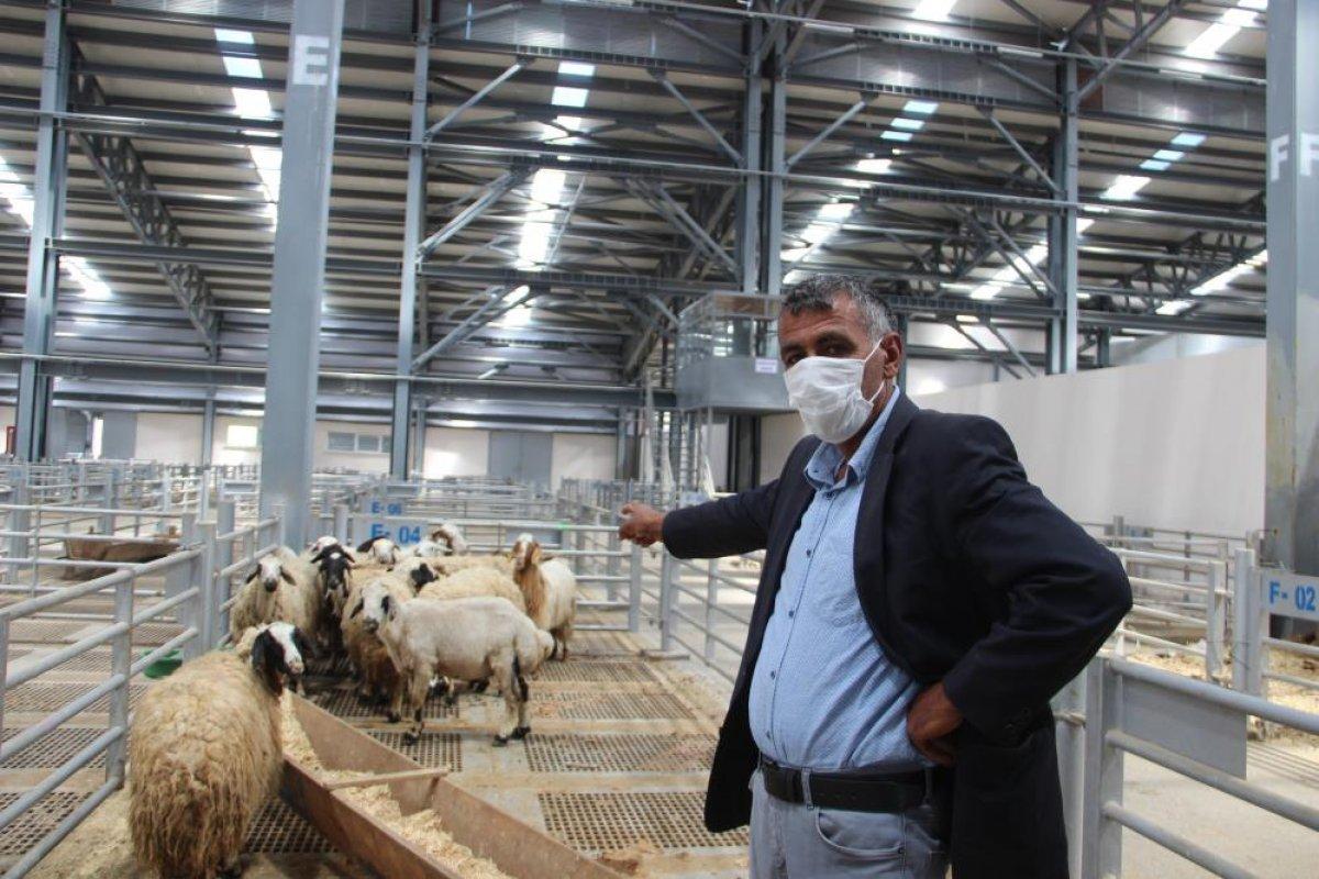 Kurban pazarları hareketlendi: Fahiş fiyat artışı var