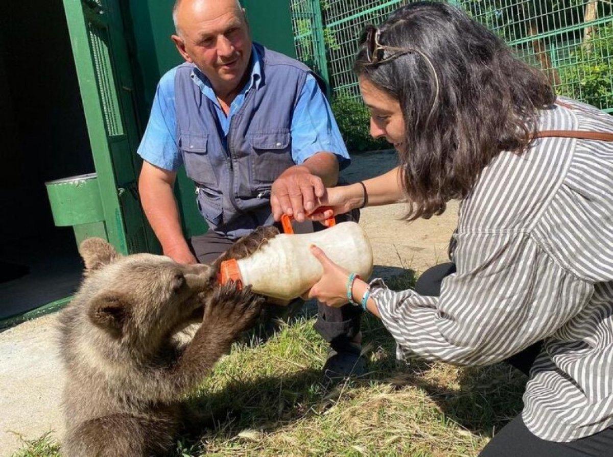 Aslıhan Gürbüz yavru ayı besledi
