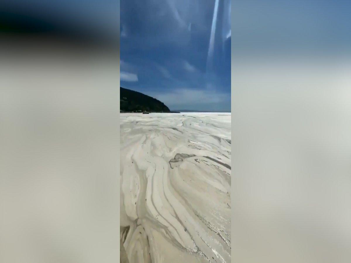 Balıkesir'e bağlı Erdek sahilli tamamen müsilaj ile kaplandı