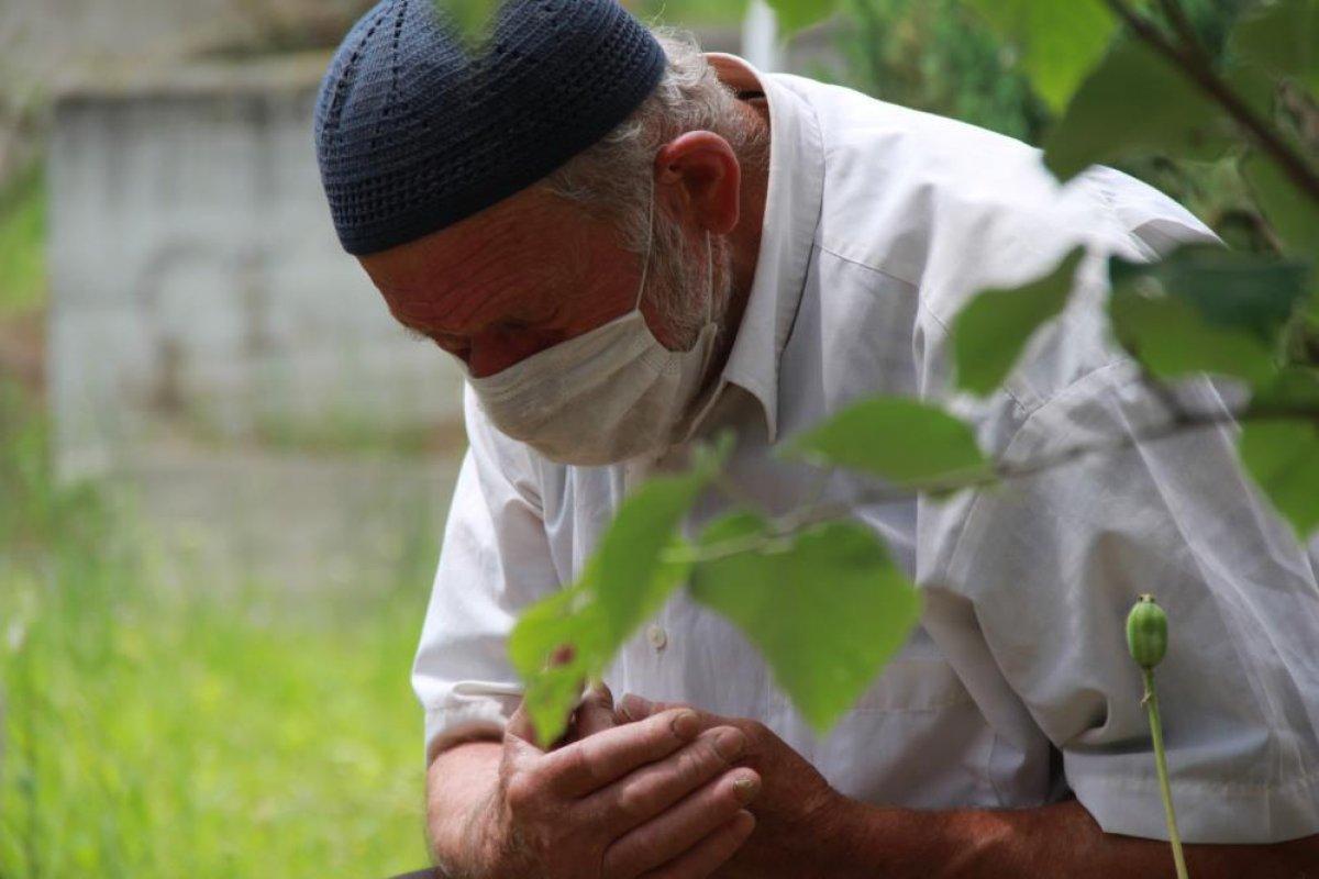 Kocaeli'de eşinin mezarı başından ayrılmıyor: Hanım öldükten sonra garip kaldım