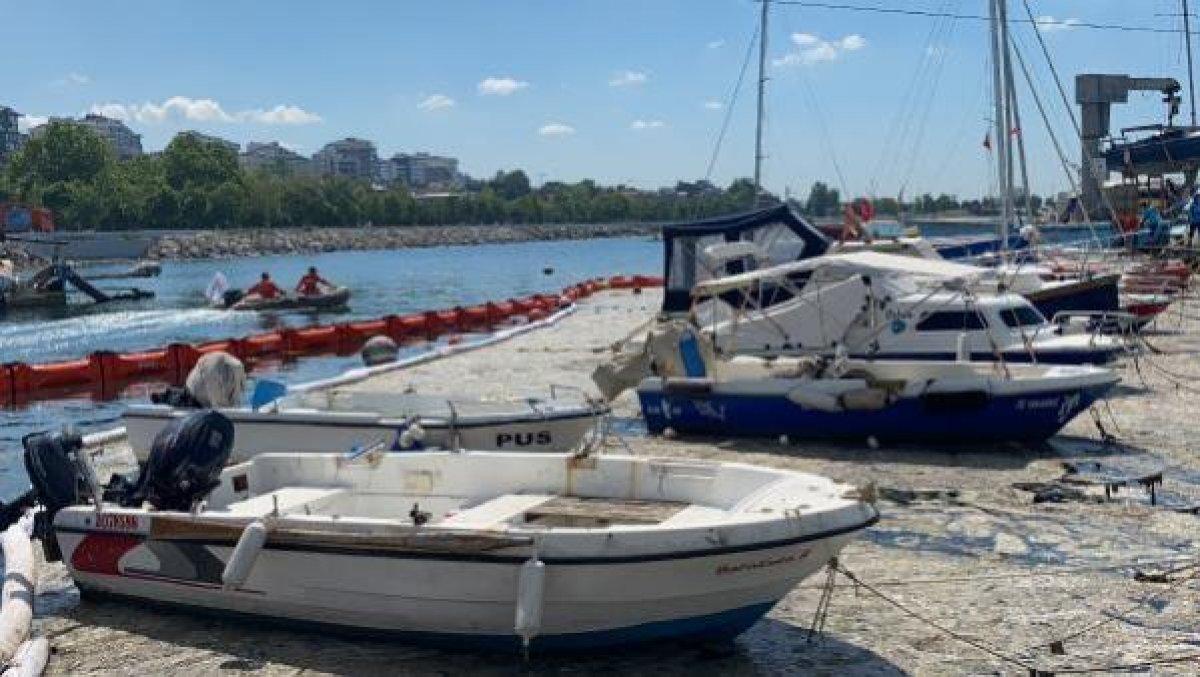Caddebostan sahilinde yapılan müsilaj temizliği havadan görüntülendi