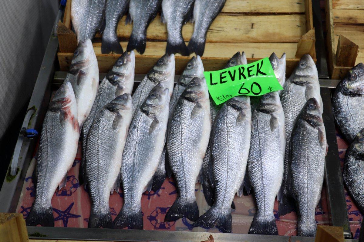 Prof. Dr. Adnan Ayaz: Müsilaj balıkları etkilemez, rahatlıkla tüketin