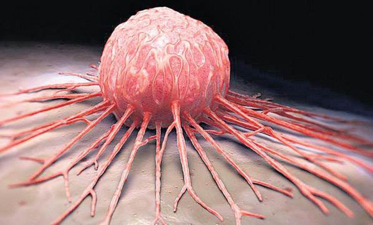 Sigaranın akciğer ve kalp dışında neden olduğu hastalıklar