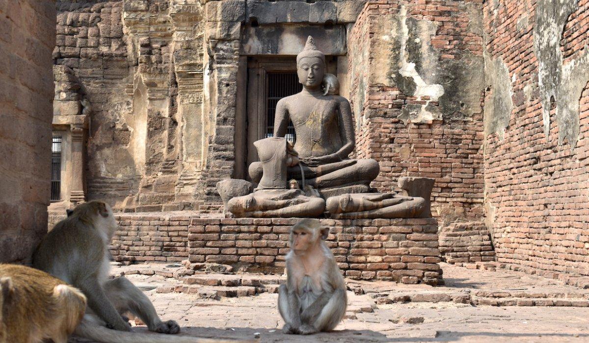 Vakanüvis yazdı: Hayvan hakları yasası hazırlanırken...