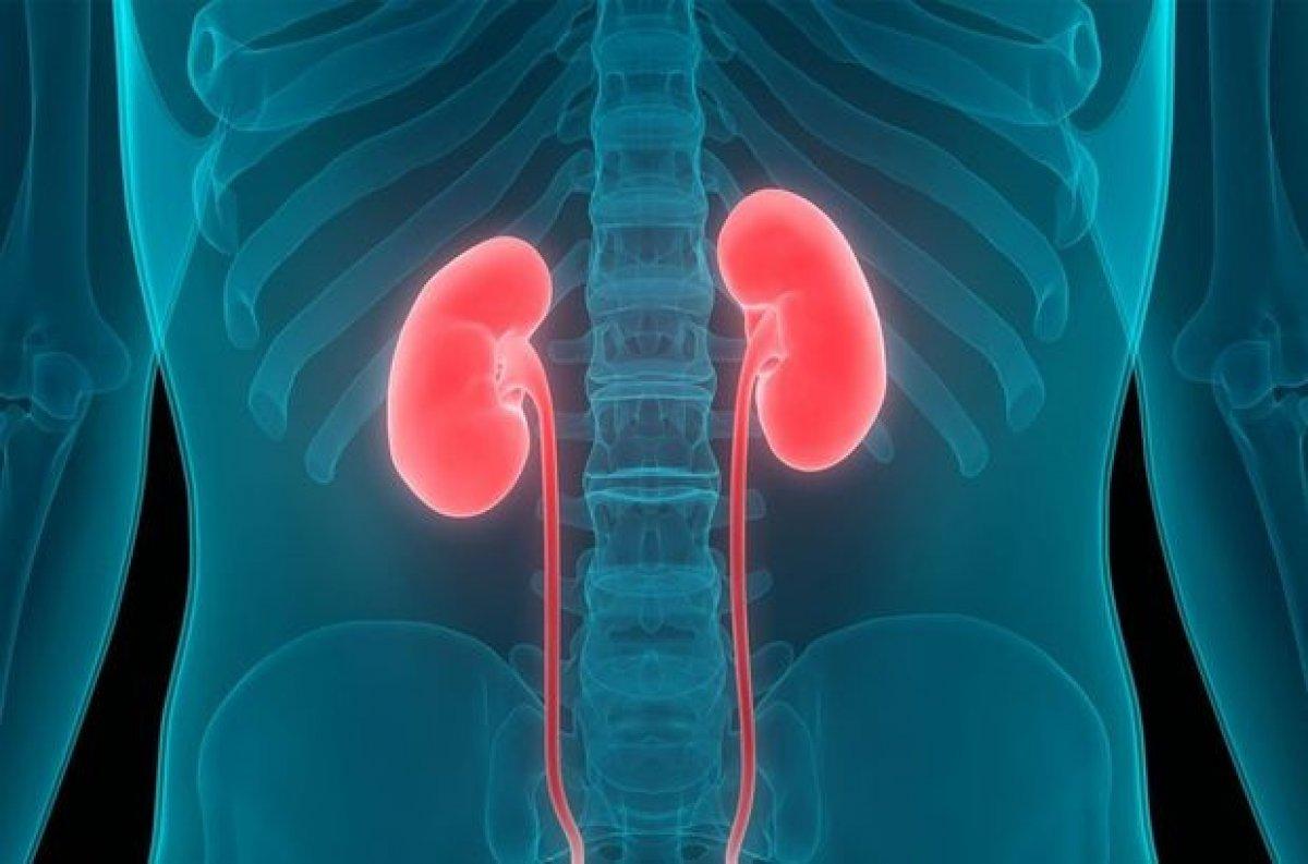 Sigaranın akciğer ve kalp dışında neden olduğu hastalıklar