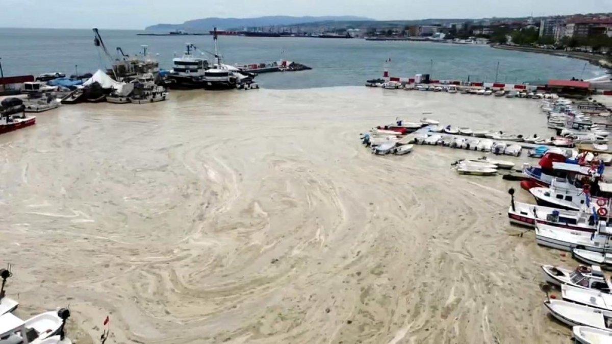 Tekirdağ kıyılarındaki müsilaj etkisini yitirdi