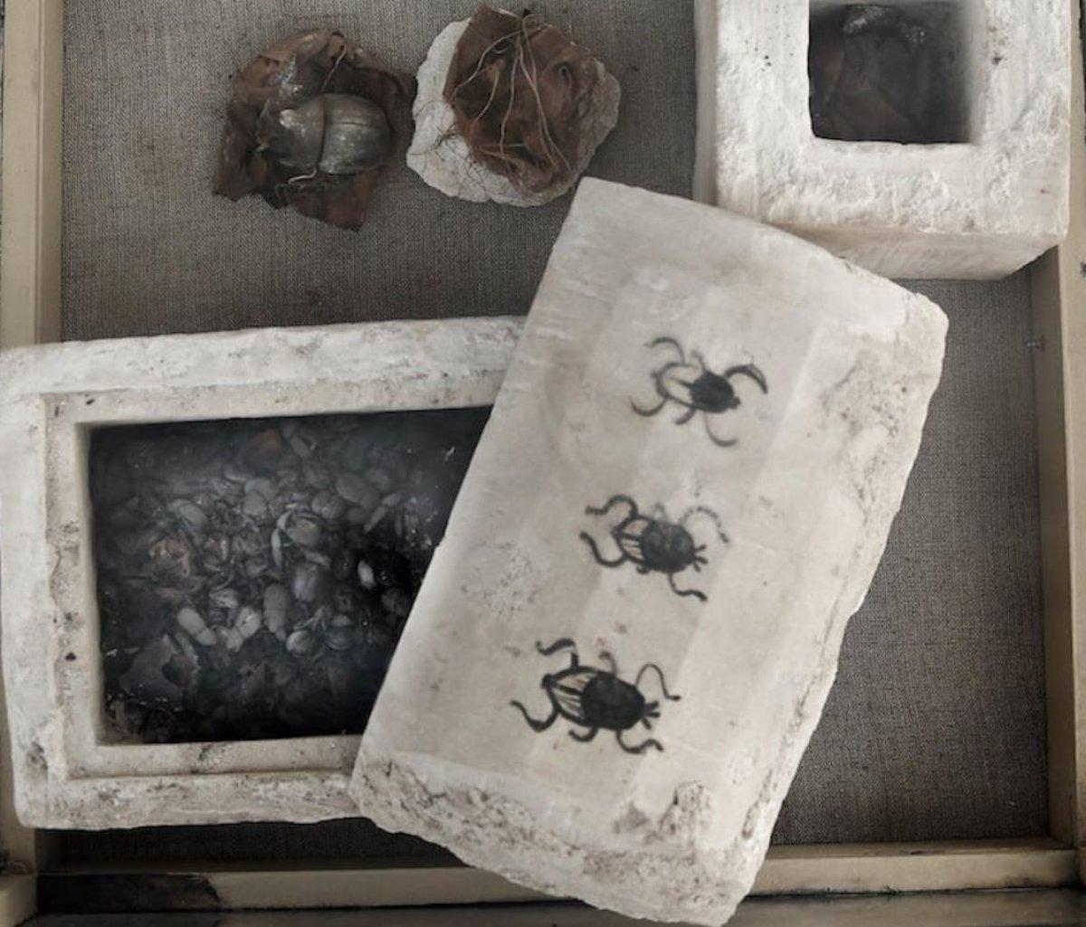 Vakanüvis yazdı: Hayvan hakları yasası hazırlanırken...