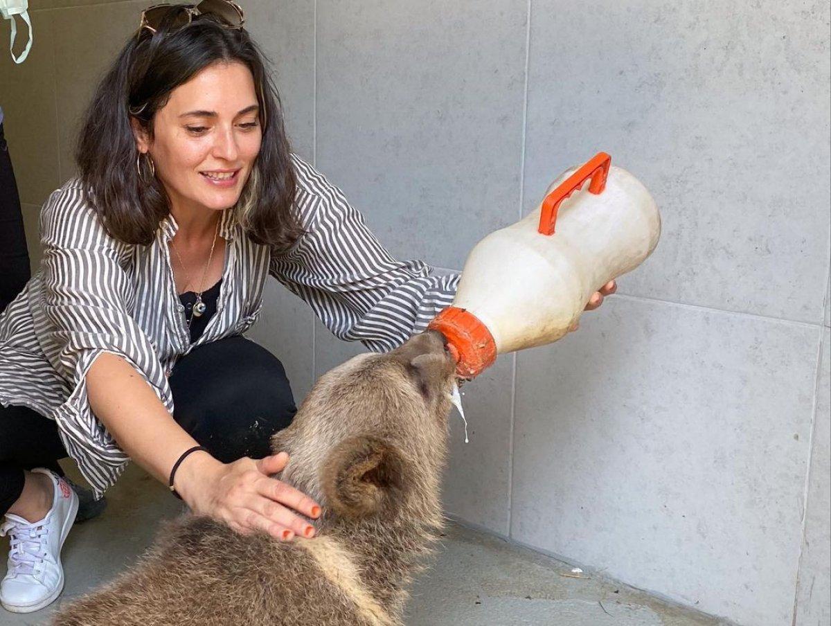 Aslıhan Gürbüz yavru ayı besledi