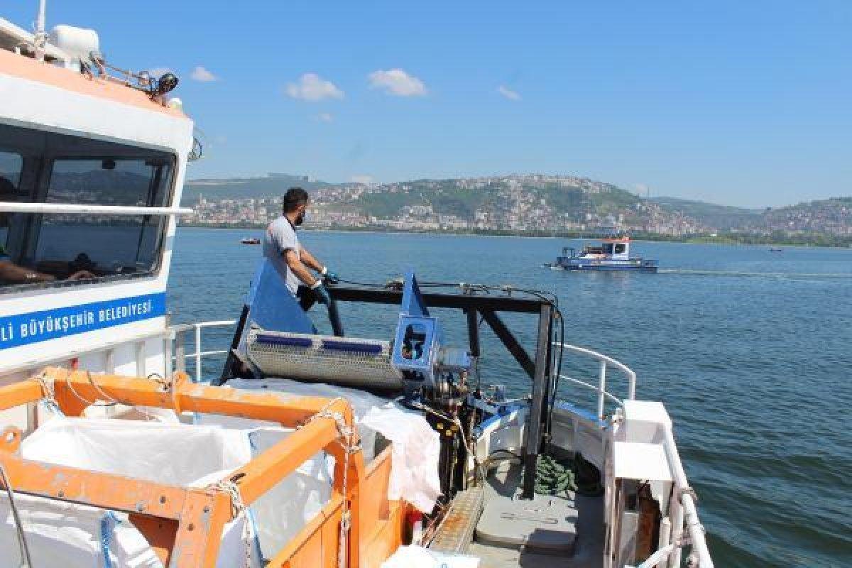 İzmit Körfezi'nde müsilaj temizlendi, balıkçılar açıldı