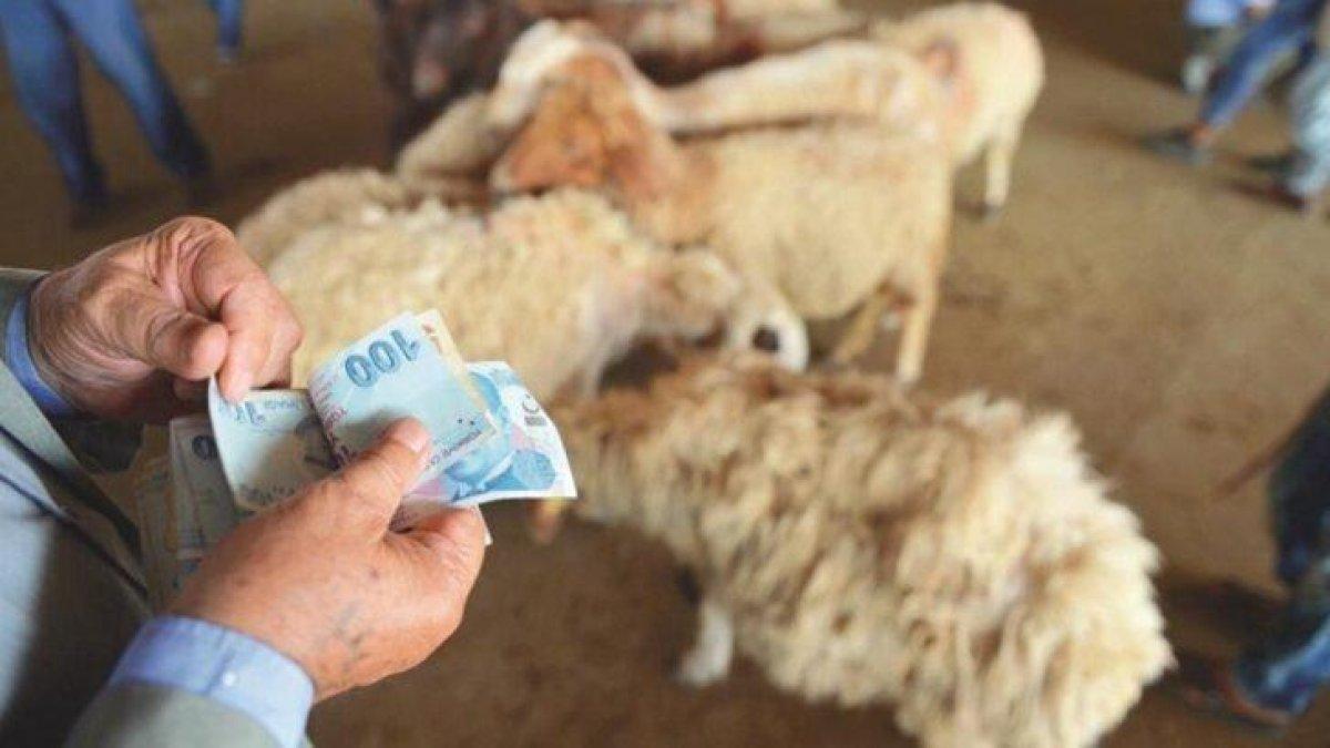 Vekaleten kurban nedir, nasıl kesilir? Vekaletle kurban kesmek caiz midir?